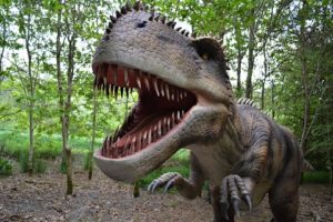 Dinosaurs didn't roar. They may have mumbles with their mouths shut, research suggests amazing facts Riddles now