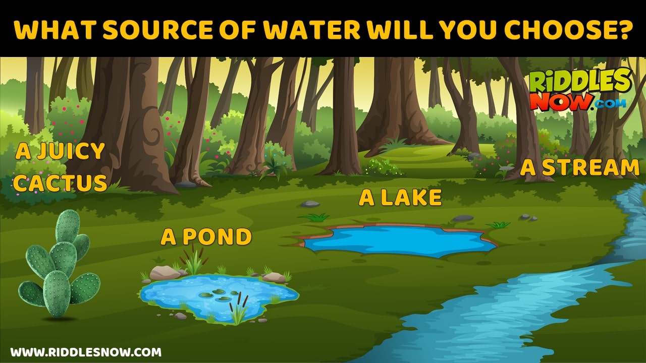 12 Escape Room Riddles to Check Your Survival Skills