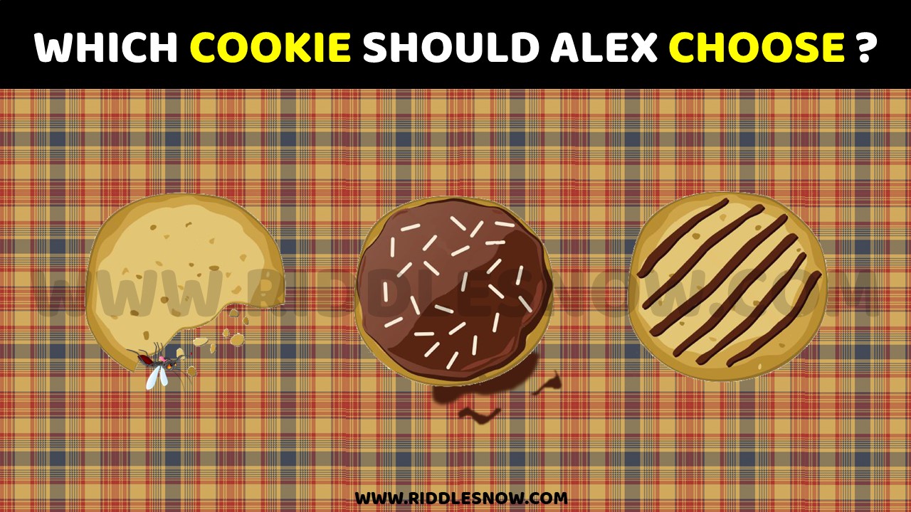 WHICH COOKIE SHOULD ALEX CHOOSE riddlesnow.com